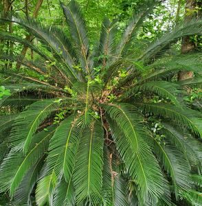 Meet your Posher, Kenneth